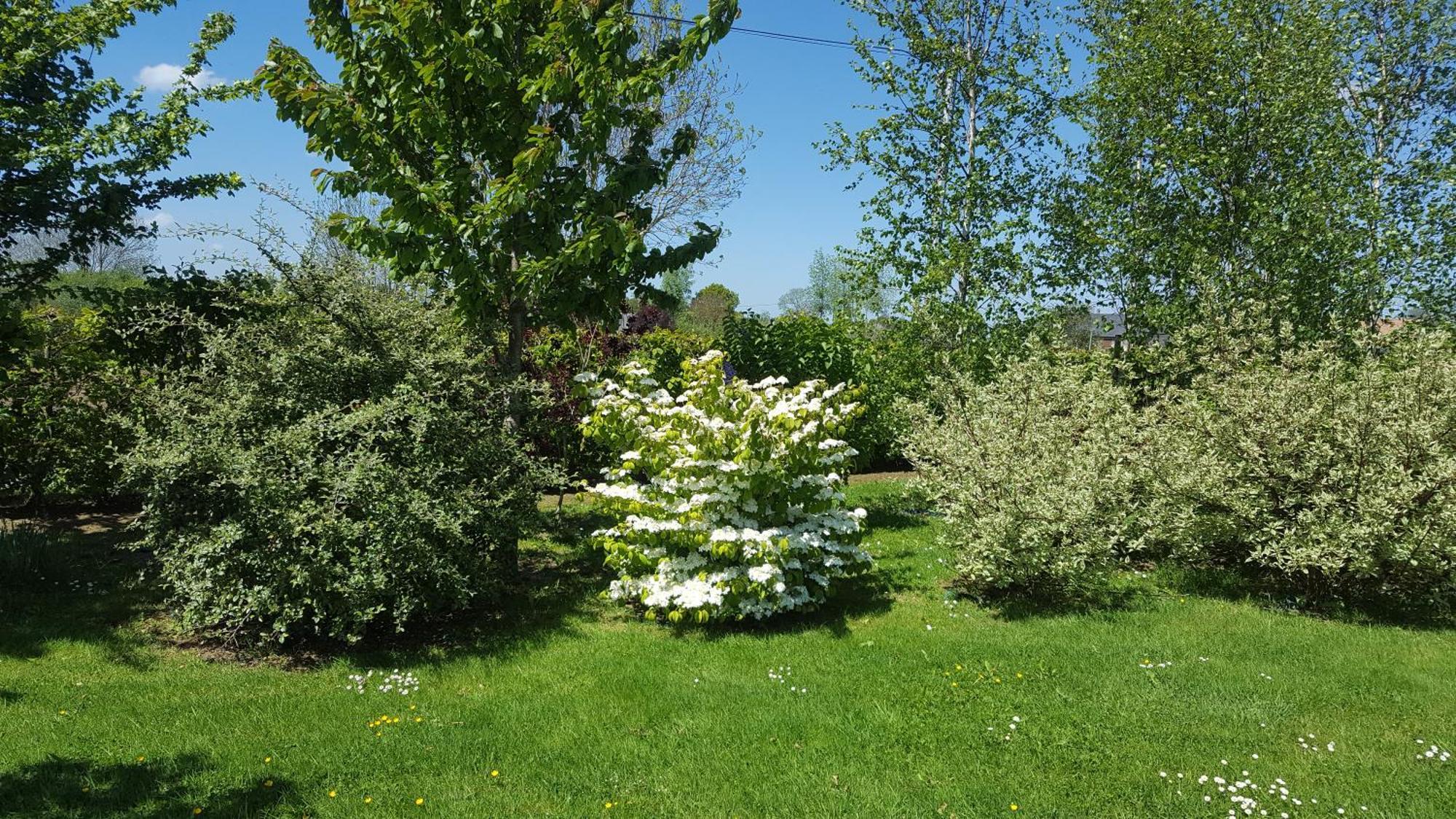 Gite D'Anne Et Ulysse Sept-Freres Buitenkant foto